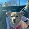 jordyn_ross19